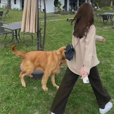 鬼追人5